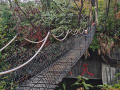-千岛湖东南湖区