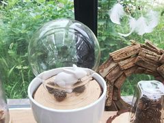 -北马山庄植趣咖啡