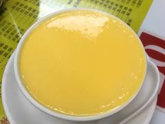 杏汁炖蛋-澳洲牛奶公司(佐敦店)