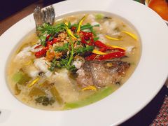 酸菜海鲈鱼-肴约·花园式餐厅(湖里店)