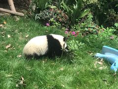 -徐六孃正宗甜皮鸭(张公桥店)