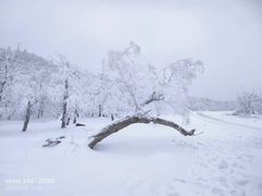 -美俪家族(巴黎都市店)