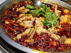 -蛙蛙鸡冷锅鱼(驷马桥店)