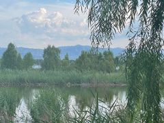 -野鸭湖国家湿地公园