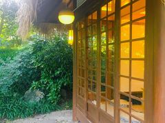 -中国茶叶博物馆(双峰馆区)