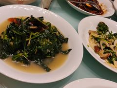 -新吉士·上海菜(浦东LCM置汇旭辉店)