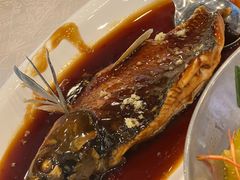 -楼外楼(西湖景区孤山路店)