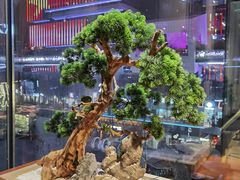 -享月汤皇·海鲜小火锅·聚会(曲江创意谷店)