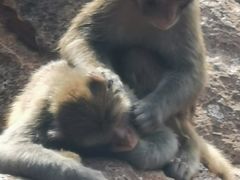 -昆明动物园