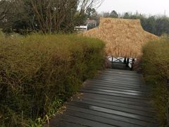 android_upload_pic-西湖茶墅