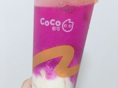红果果小姐姐-CoCo都可(盐城宝龙城市广场店)