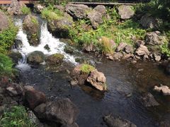 -济州森林小火车生态公园