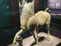 -广西壮族自治区博物馆