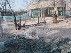 -北京野生动物园