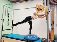 -Isofit 普拉提·婵柔工作室