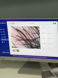 -菩叶脱发白发中心