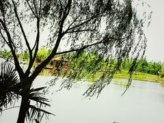 崇明度假游-上海怡沁园度假酒店