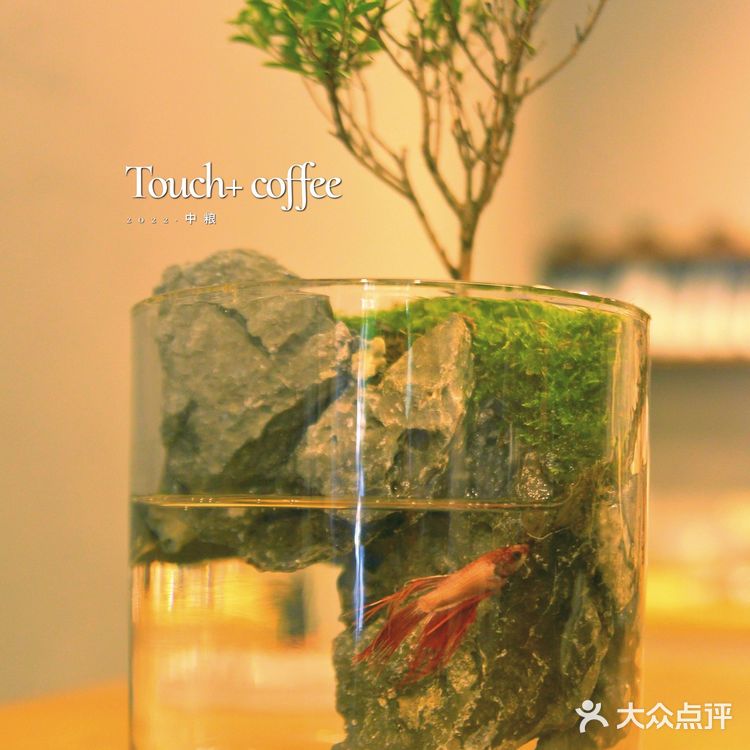 成都新店，隐藏于小区楼下的自家烘培独立咖啡馆！