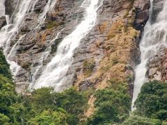 -广州白江湖森林公园