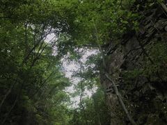 -藏龙百瀑风景区