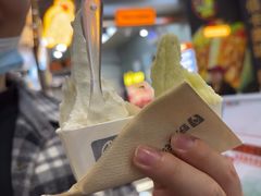 -野人先生现做冰淇淋(西安赛格店)