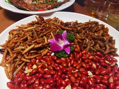 -老滇山寨•云南特色菜•地方菜•民族风情歌舞表演(金碧店)