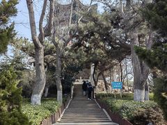 -湛山寺