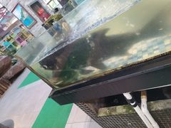 -森谷美食公园(杨行店)