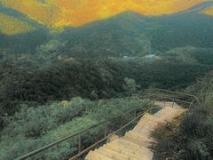-金龙寺国家森林公园