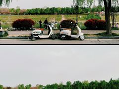 -洨河生态公园