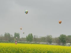 -青龙湖公园
