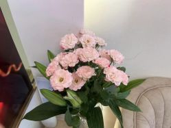 -MIDA蜜哒•科技逆龄美肤连锁