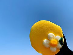 -Dark Horse·黑马蛋糕·低脂·低糖淡奶(金匙望湖大厦店)