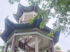 -天鹿湖森林公园