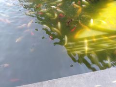 -荆川公园