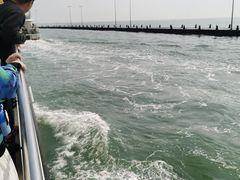 -日照世帆赛基地