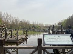 -溱湖国家湿地公园