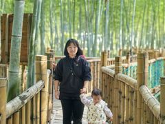 -陶祖圣境风景区