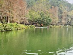 -桂林古东瀑布景区