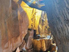 -和源祥·日照菜扛把子(万平口一店)