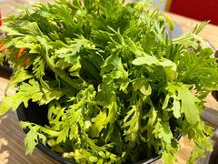 茼蒿-销魂美蛙鱼头火锅(上海首店)