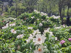 -江南大学(蠡湖校区)