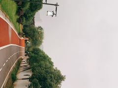 -八大山人梅湖景区