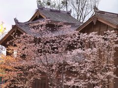 -花溪公园