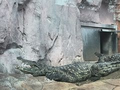 -武汉动物园