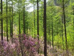 -本溪老边沟风景区