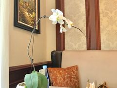 -子霖南山鲜虾面(南山总店)