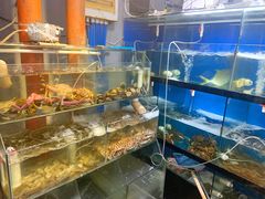水产区-美味海鲜大排档(明发美食地标店)
