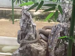 -荔城生鲜盛宴(番禺旗舰店)