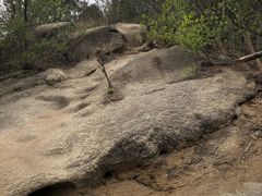 -白水寺森林公园